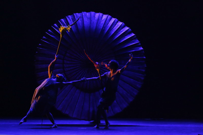 Bilder[Bild] - Blooming Of Time(2) (ID:121)