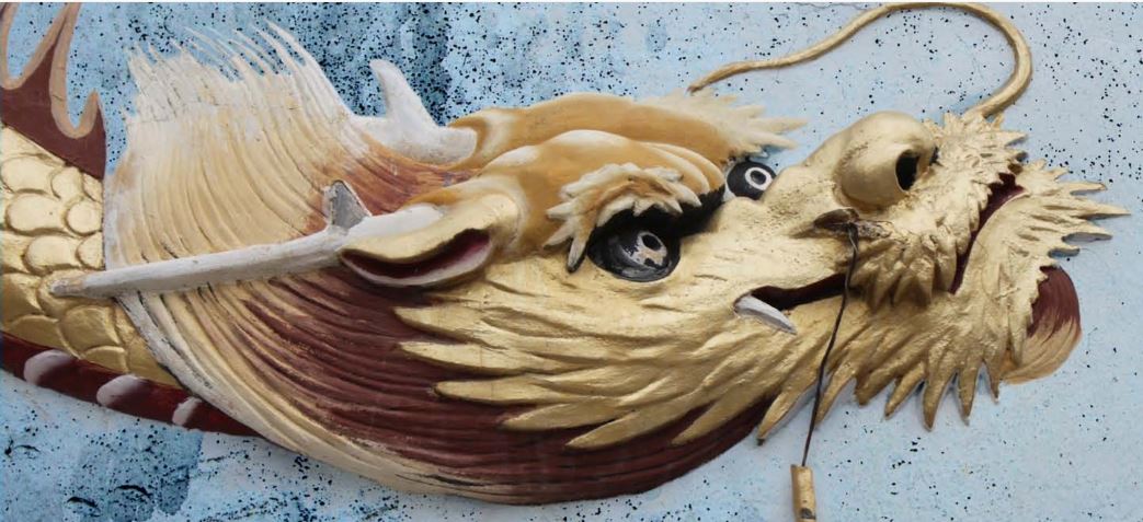 Bilder[Bild] - Drachen (ID:93)